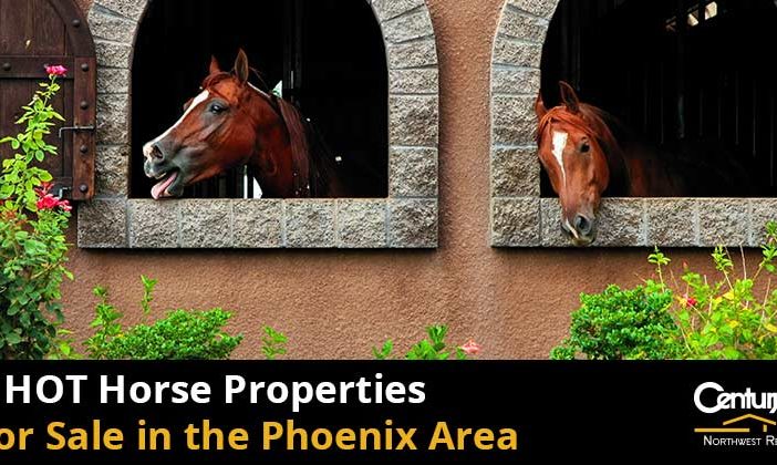 horse properties