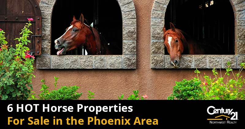 horse properties
