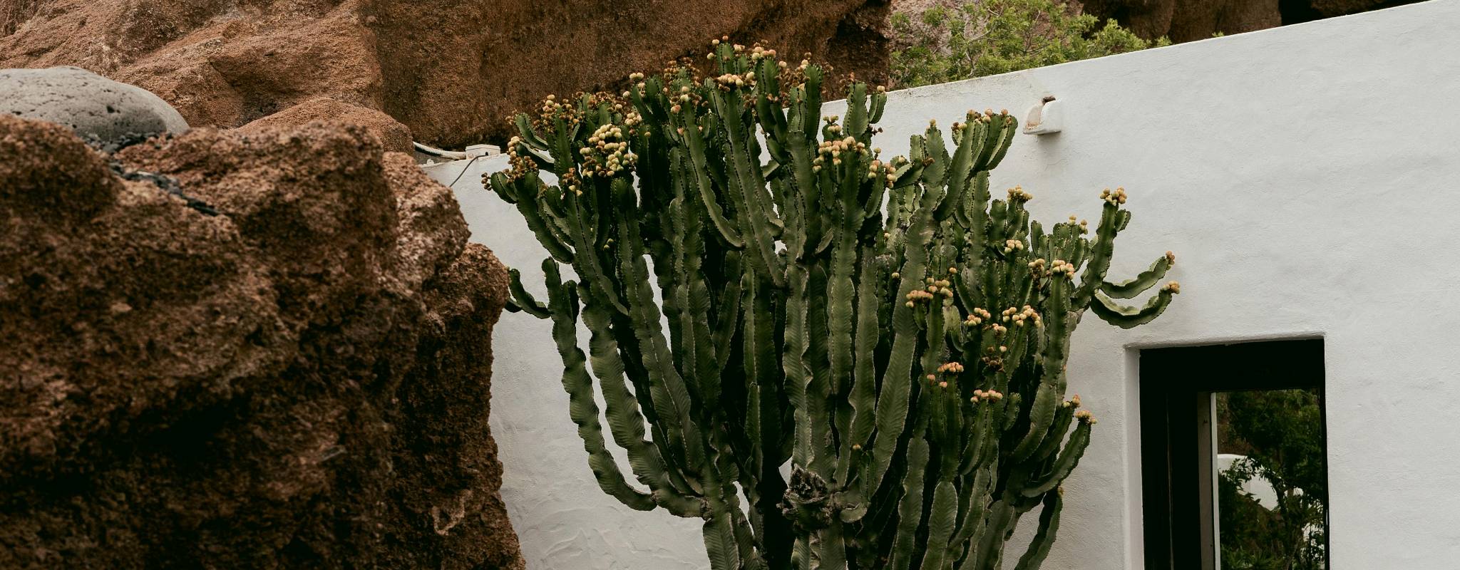 Homes for Sale in Bisbee AZ