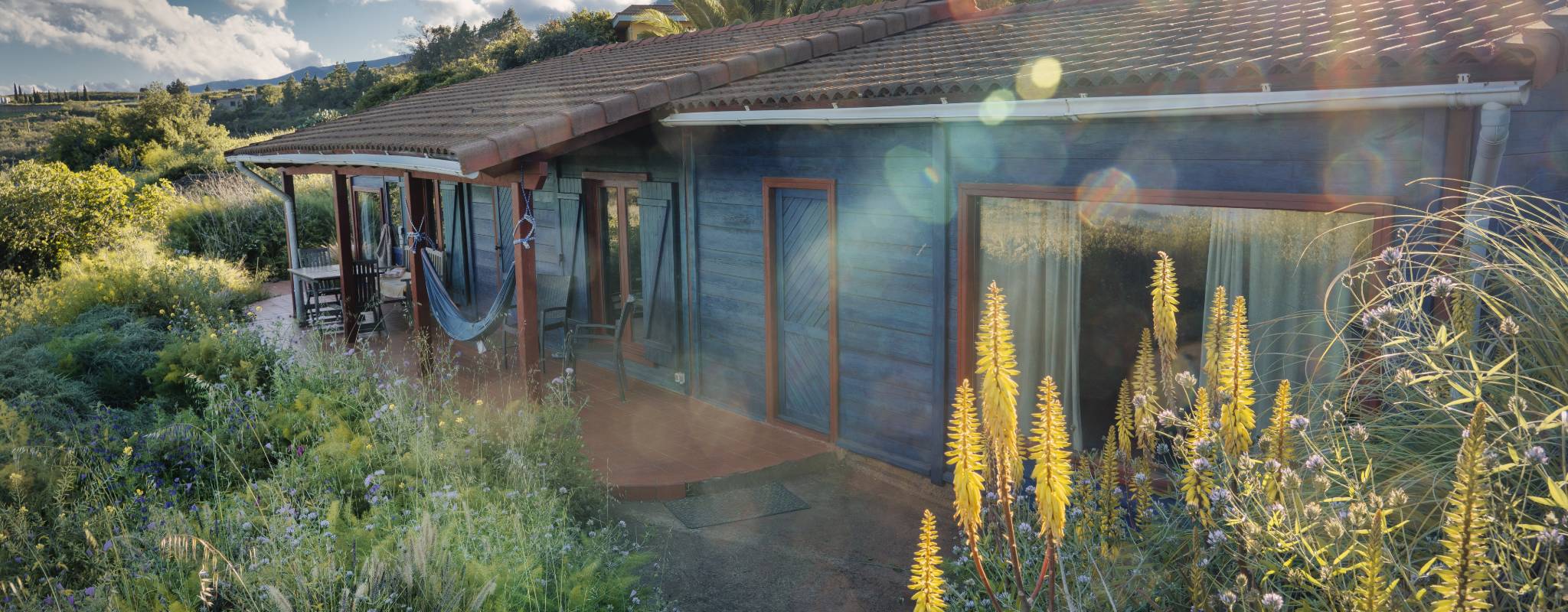 Homes for Sale in Tombstone AZ