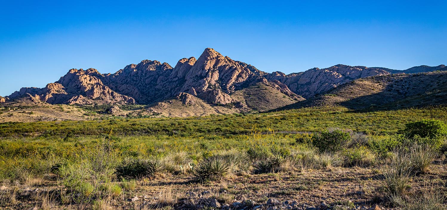 Homes for Sale in Sierra Vista AZ