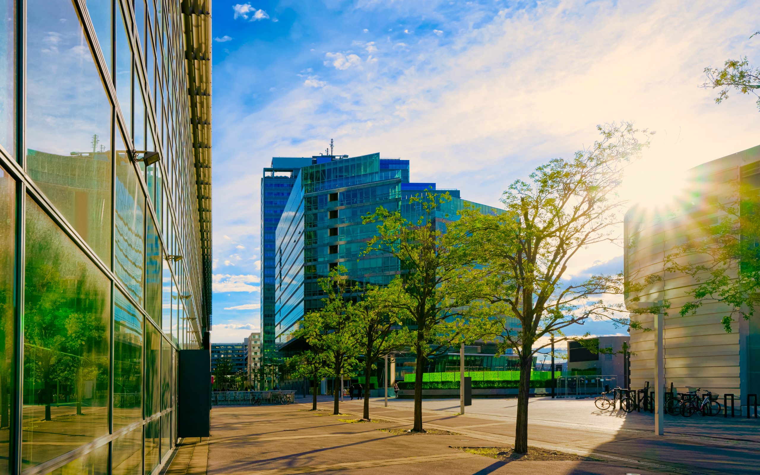 What Types of Commercial Properties Are Most in Demand in Arizona?